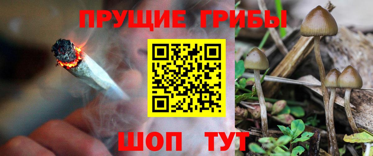 Псилоцибиновые грибы GOLDEN TEACHER  Вход с VPN  Дзержинский  Галлюциногенные грибы мухоморы 